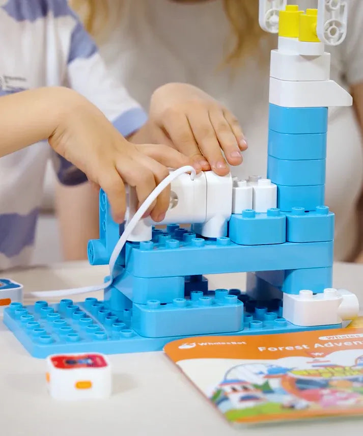 Family Educational Toys