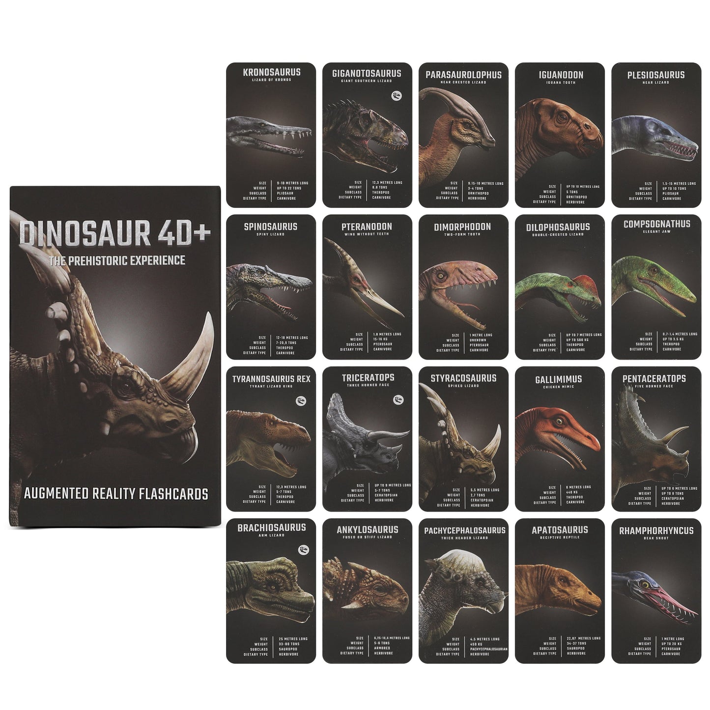 Dinosaur 4D+ Augmented Reality Cards