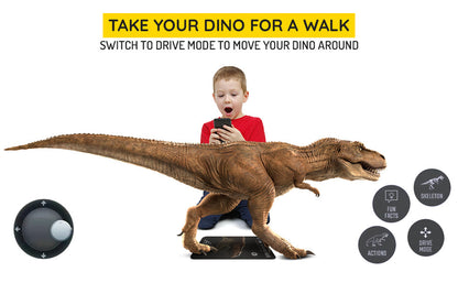 Dinosaur 4D+ Augmented Reality Cards